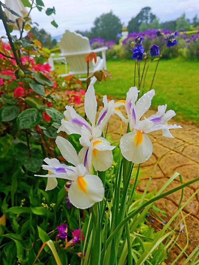 Country Villa Estate Ngongotaha ภายนอก รูปภาพ